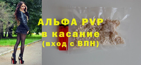 мет Алексин